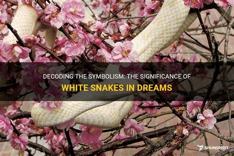 Decoding the Symbolism of Dreams Featuring Snakes in Different States