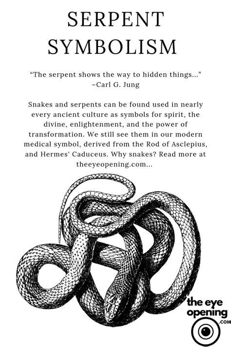 Decoding the Symbolism of a Midnight Serpent
