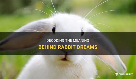 Decoding the Veiled Significance of Rabbit Massacre Dreams