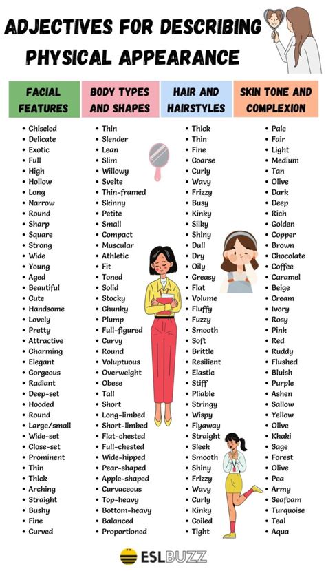 Decollecter's Physical Appearance and Measurements