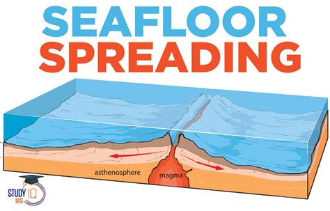 Decrypting the Symbolism Behind Fractured Seafloor Treasures