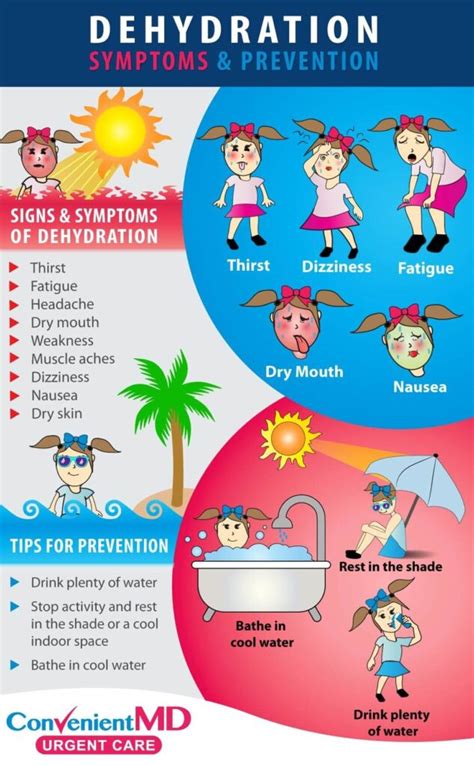 Dehydration: Signs, Symptoms, and How to Prevent It