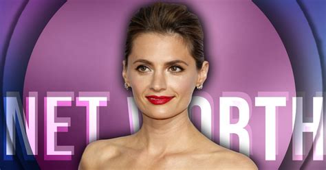 Delve into Stana Katic's Net Worth