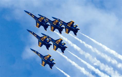 Delving into the Background and Years of Blue Angel