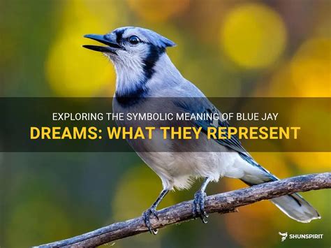 Delving into the Enigma: Exploring the Significance of the Blue Jay in Dream Interpretation