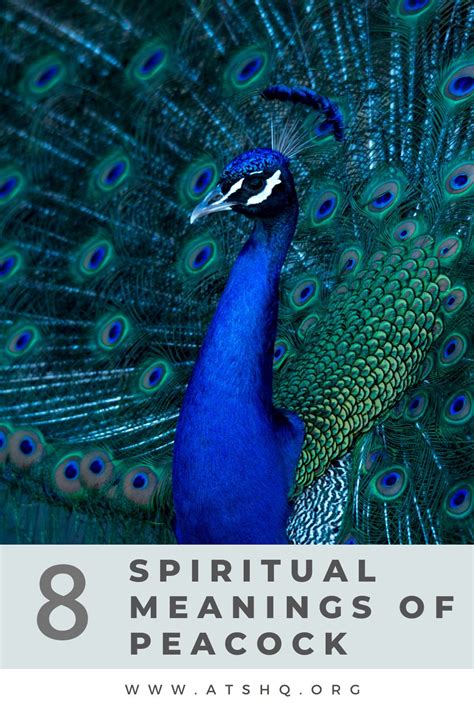 Delving into the Enigma: Unveiling the Hidden Meanings of the Majestic Peacock