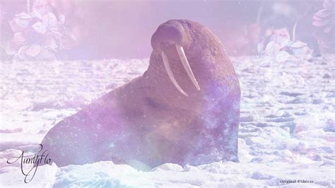 Delving into the Profound Significance of Your Vision of a Deceased Walrus