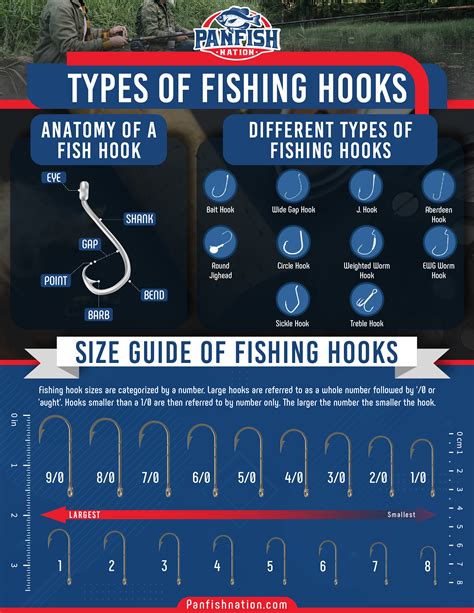 Delving into the Various Types and Sizes of Fishing Hooks