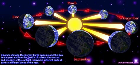 Details About Susann's Years on Earth