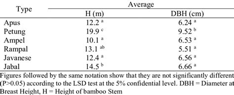 Details about Bamboo's Height and Physique