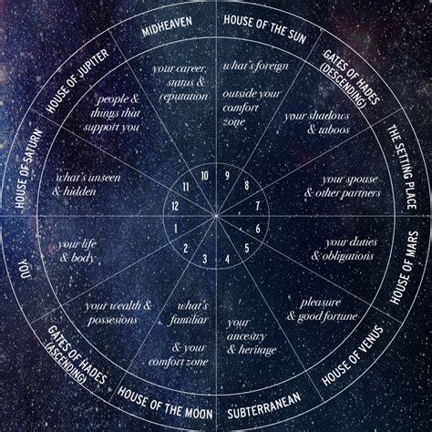 Details about Birth, Chronological Age, and Astrological Sign