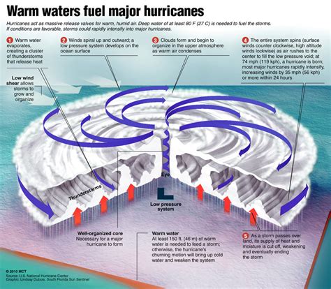 Details about Holi Hurricane's Height and Physical Features