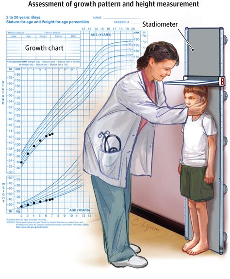 Details about the years of life and the body stature of the aforementioned individual