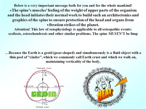 Details of Alex More's Time on Earth, Verticality, and Physique