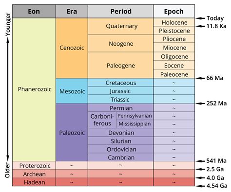 Details of Morgannah's Time on Earth and Vertical Measure