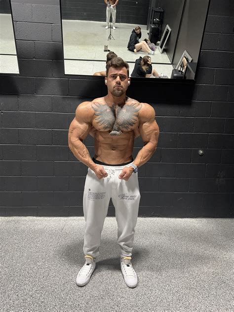 Details on Dino's Stature and Physique Unveiled