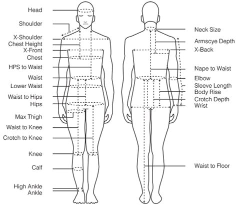 Details on Height and Body Measurements