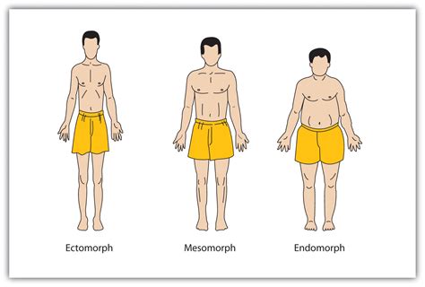 Details on Personality, Stature, and Physique