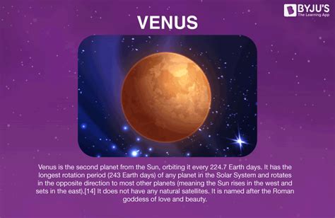 Details on Venus Bush's physical appearance