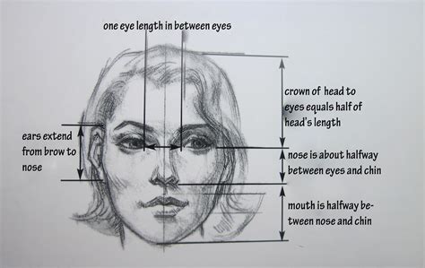 Details on physical appearance and proportions