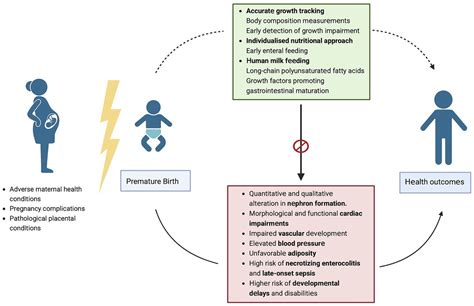 Different Factors That Can Contribute to Premature Birth