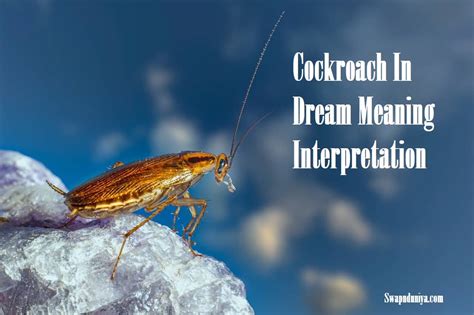 Different Types of Dream Experiences: Comparing Worms and Cockroaches