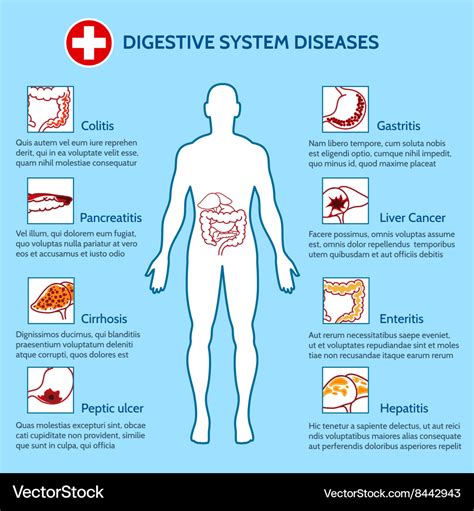 Digestive Tract Disorders