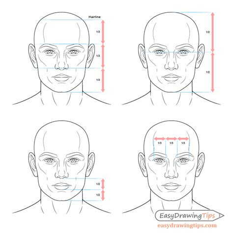 Dimensions, Physique, and Visage