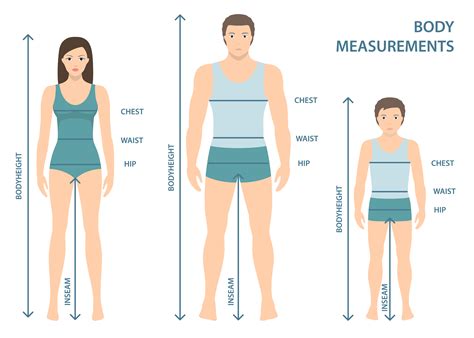 Dimensions and Physique