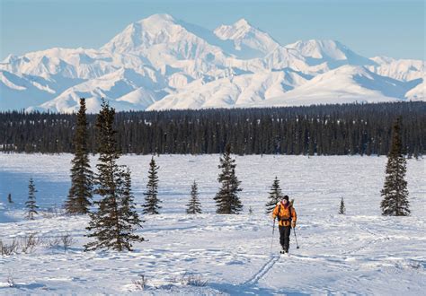 Discover Denali Winter's Figure and Beauty