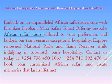 Discover Exquisite Landscapes on an Unforgettable Elephant Safari