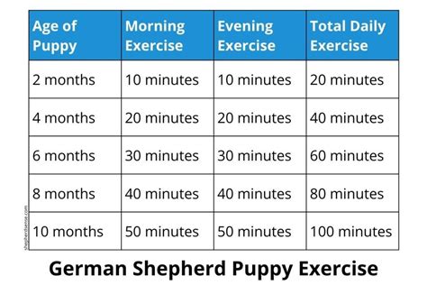 Discover Heidi Shepherd's Exercise Regimen