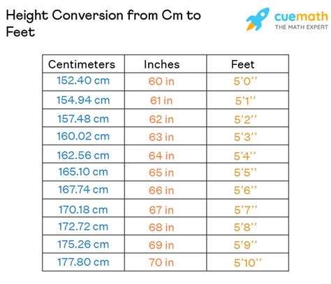 Discover Meade's Height in Feet