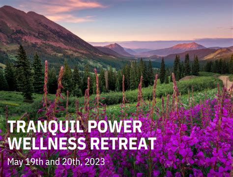 Discover Renewal and Balance through Wellness Activities at the Tranquil Retreat