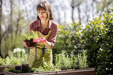 Discover the Art of Cultivating a Lively and Multicolored Garden: Insider Tips and Smart Techniques