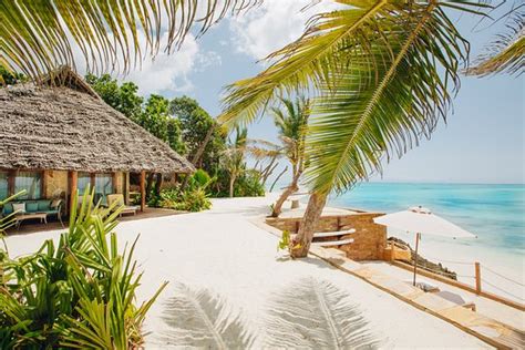 Discover the Best Ways to Get in Touch with Dreamy Zanzibar Resort