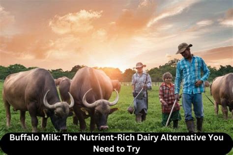 Discover the Nutritional Benefits of Buffalo Milk: An Optimal Alternative