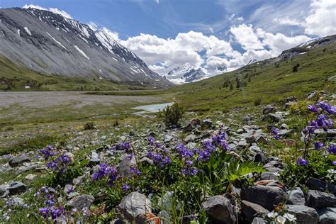 Discover the Raw Beauty of the Siberian Wilderness