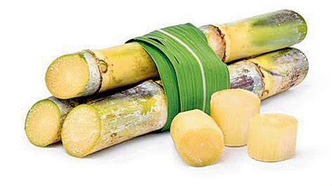 Discover the Remarkable Health Benefits of Chewing Sugarcane