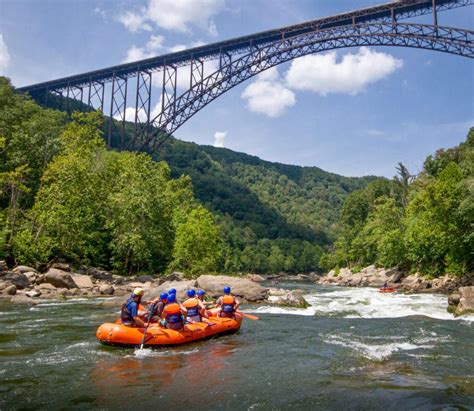 Discover the Richness of Wildlife Along the Majestic New River