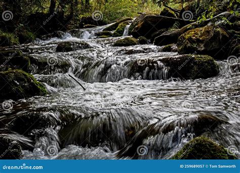 Discover the Thrill of Dreaming About Cascading Waterways