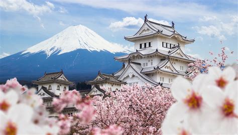 Discover the Wealth of the Japanese Beauty