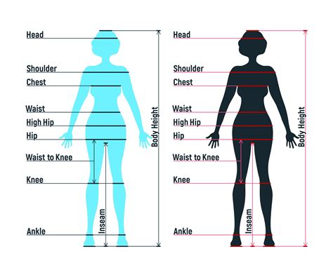 Discover the body measurements and fashion sense