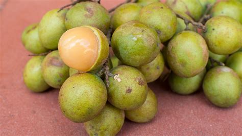 Discovering Guinep: A Tropical Fruit that Mesmerizes the Senses