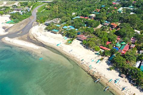 Discovering Laiya's Background and Beginnings