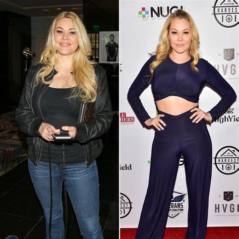 Discovering Shanna Moakler: Background, Years, Stature, Physique, and Finances