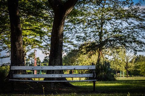 Discovering Tranquility: Attractiveness of Park Seating