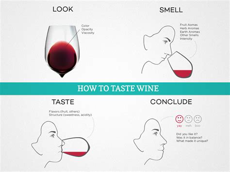 Discovering the Art of Wine Tasting: Cultivating Your Palate