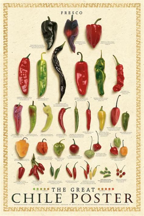 Discovering the Colorful World of Chili Varieties