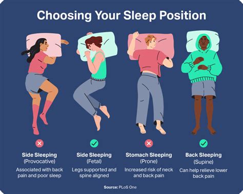 Discovering the Different Categories of Sleep Companionship